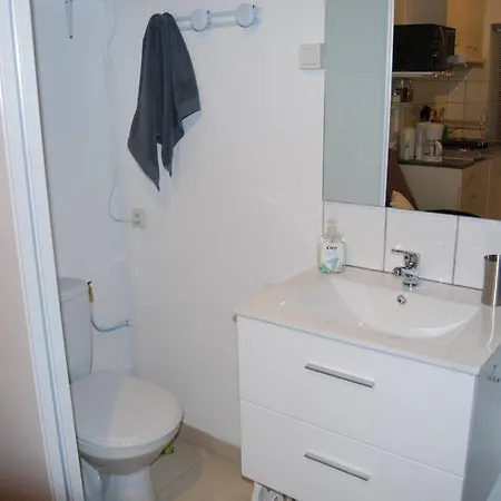 L'atelier A 100 M De Tarbes Sud Feriehus *